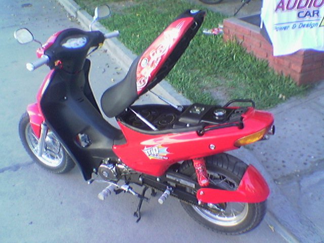 imagen1331.jpg